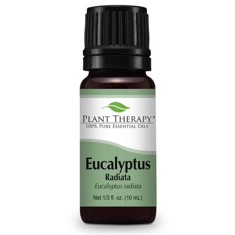 Eucalyptus Radiata Essential Oil