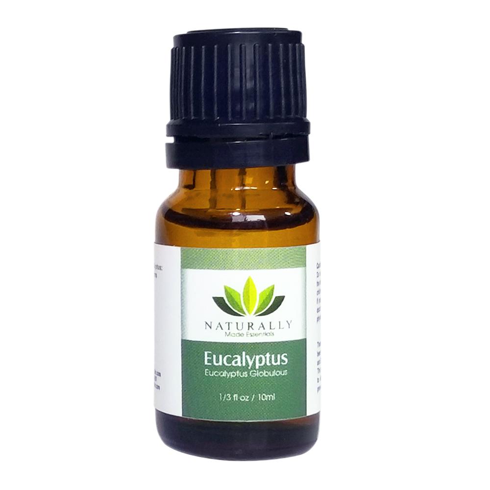 Eucalyptus Globulus Essential Oil