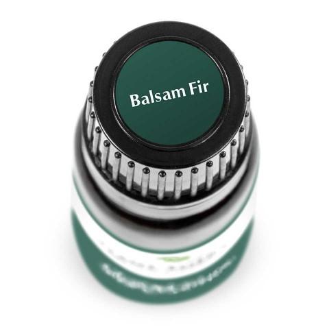 Balsam Fir Essential Oil