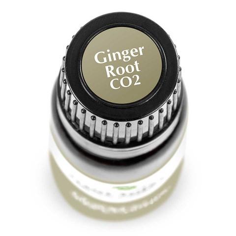 Ginger Root CO2 Extract