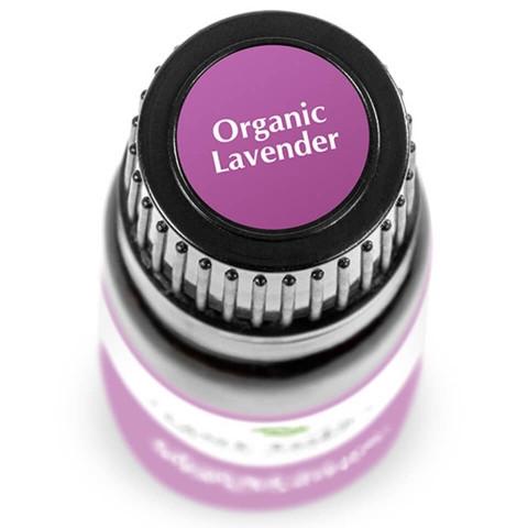Lavender ORGANIC Essential Oil