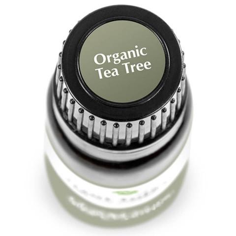 Tea Tree ORGANIC Essential Oil