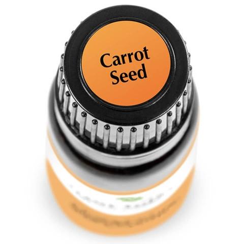 Carrot Seed Essential Oil