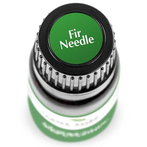 Fir Needle Essential Oil