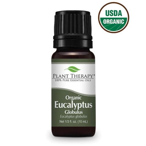 Eucalyptus Globulus ORGANIC Essential Oil
